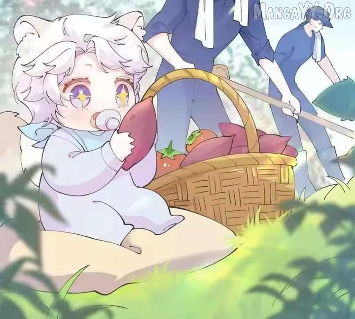 ch 154 31