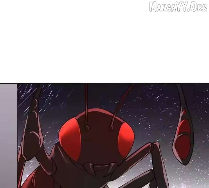 ch 162 37