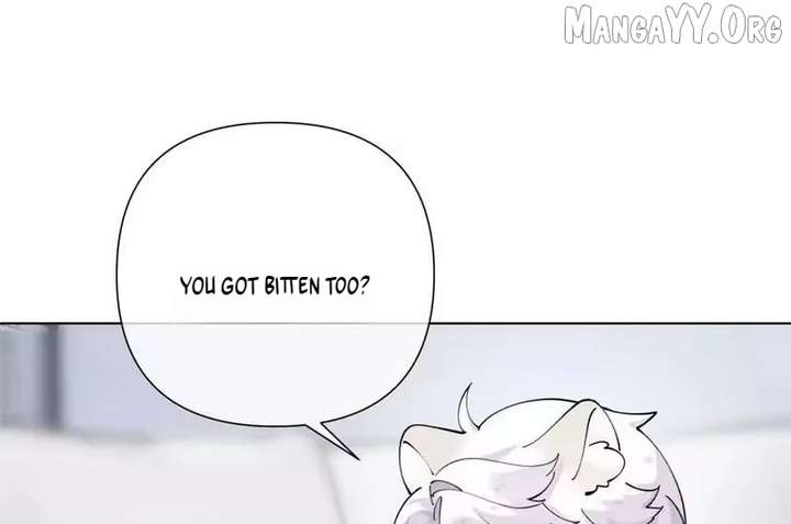 ch 171 56