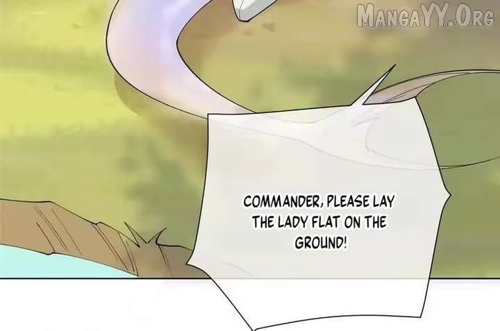 ch 172 48