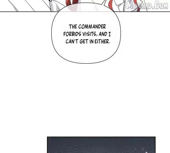 Her Marriage Was Called Off at Daytime, the Cutely Fierce Commander Asked Her For a Hug at Night Chapter 173 249 ch 173 21