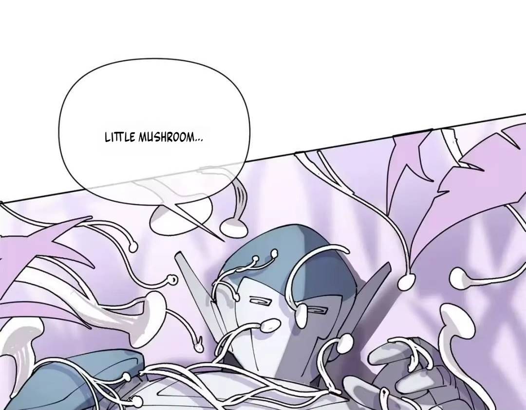 14 8