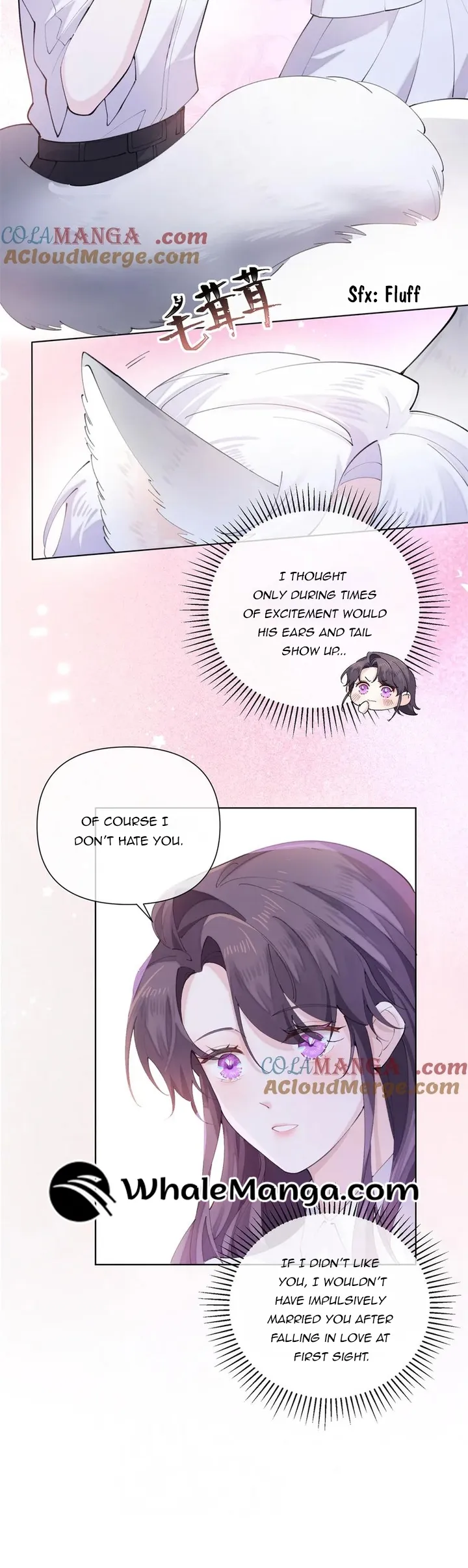 Her Marriage Was Called Off at Daytime, the Cutely Fierce Commander Asked Her For a Hug at Night Chapter 28 65 3