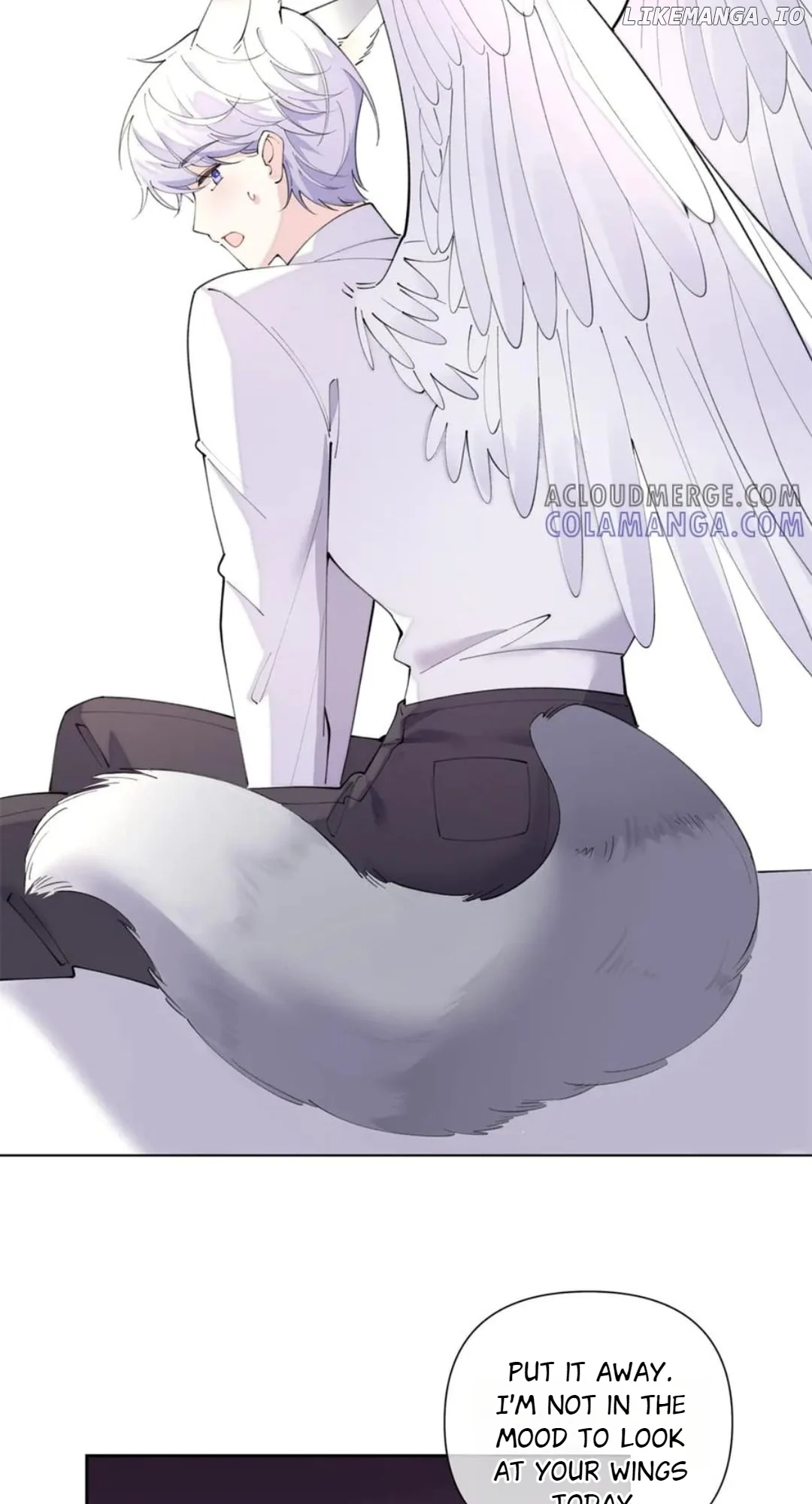 31