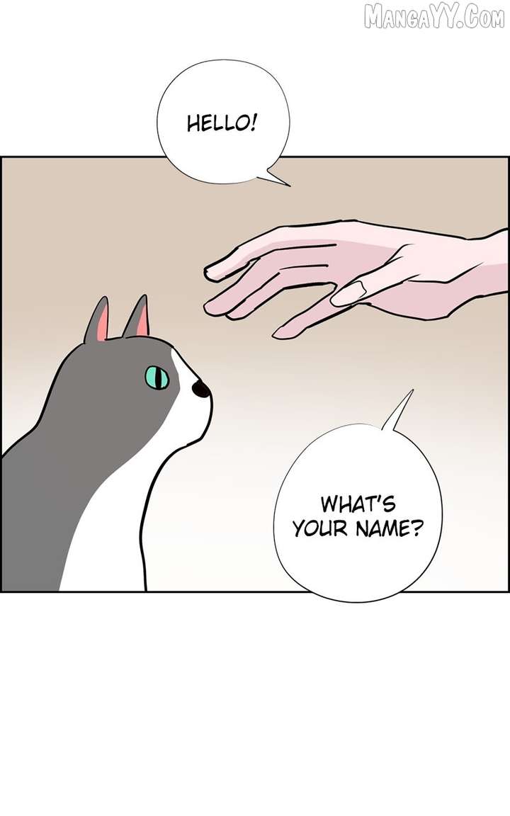086