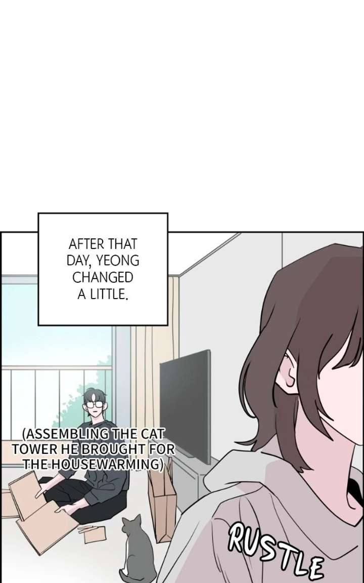 081