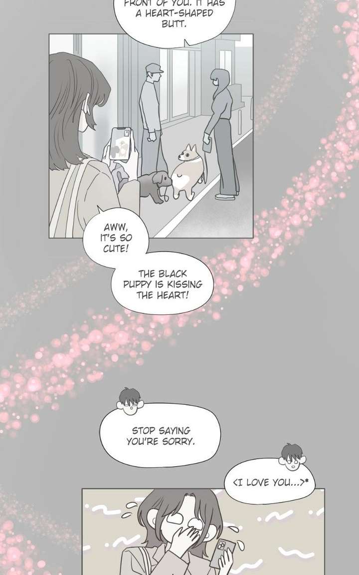 ch 41 100