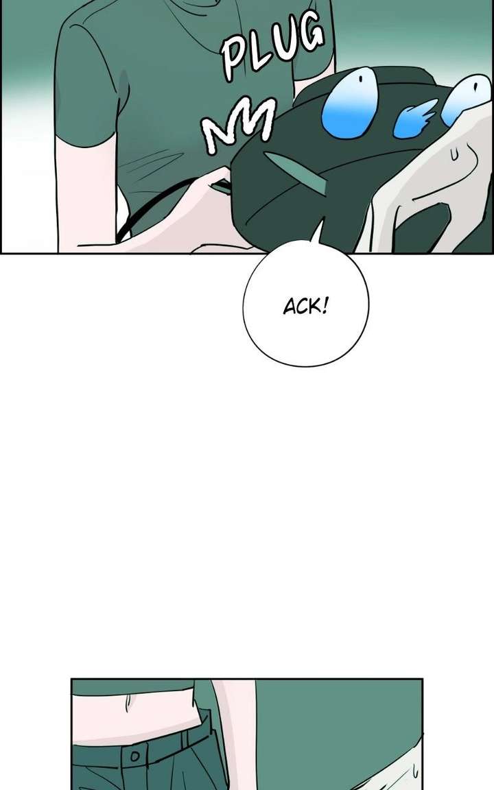 ch 41 8