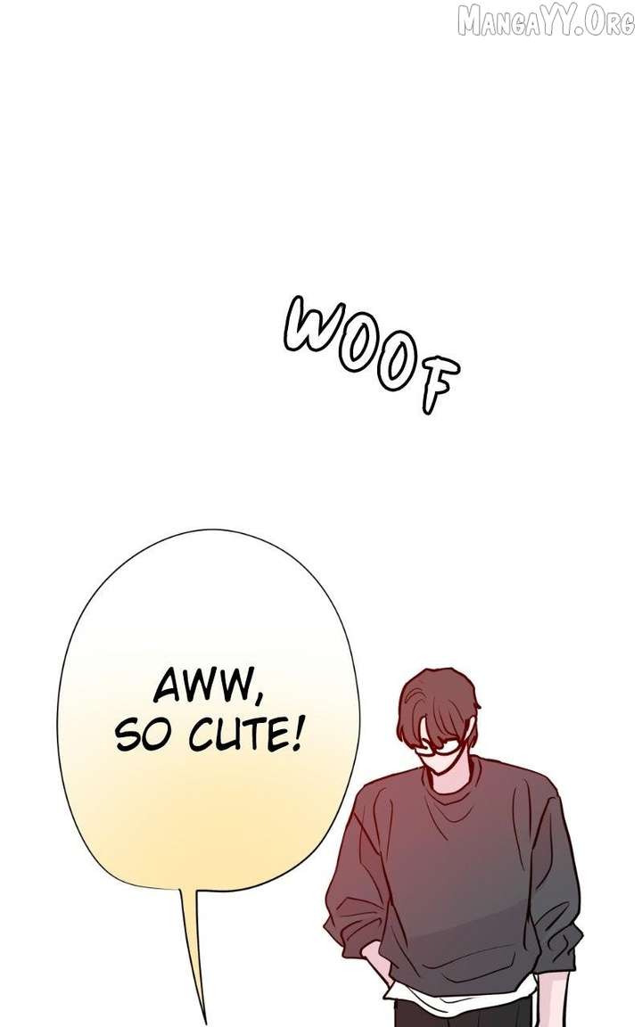 ch 42 89