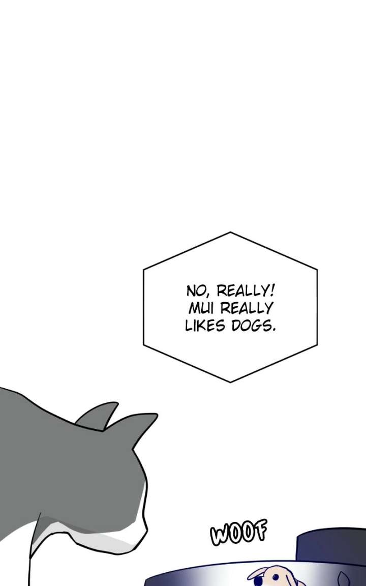 ch 45 40