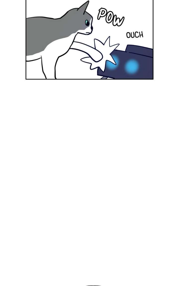 ch 45 42