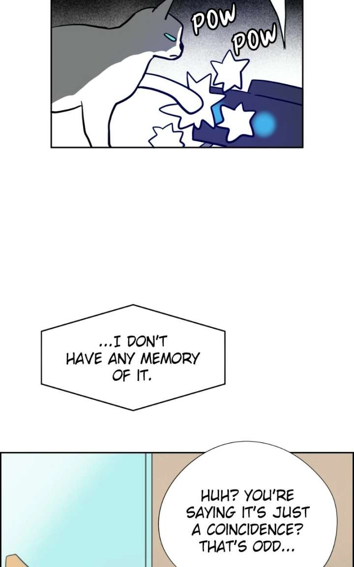 ch 45 48