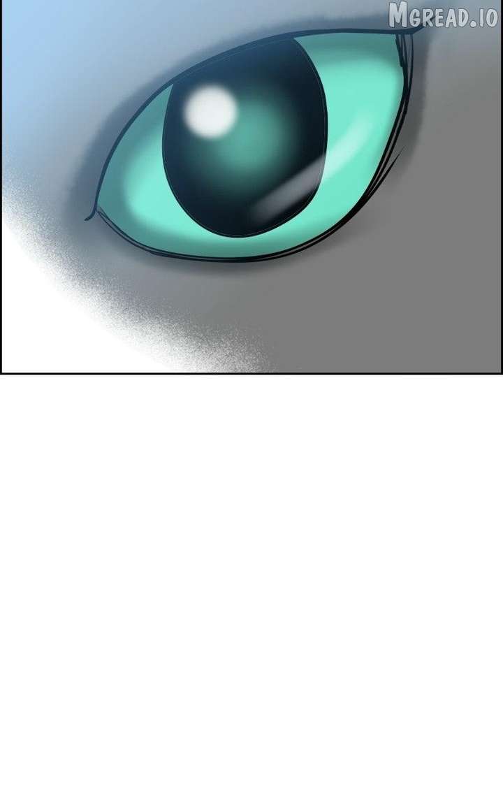 ch 47 15