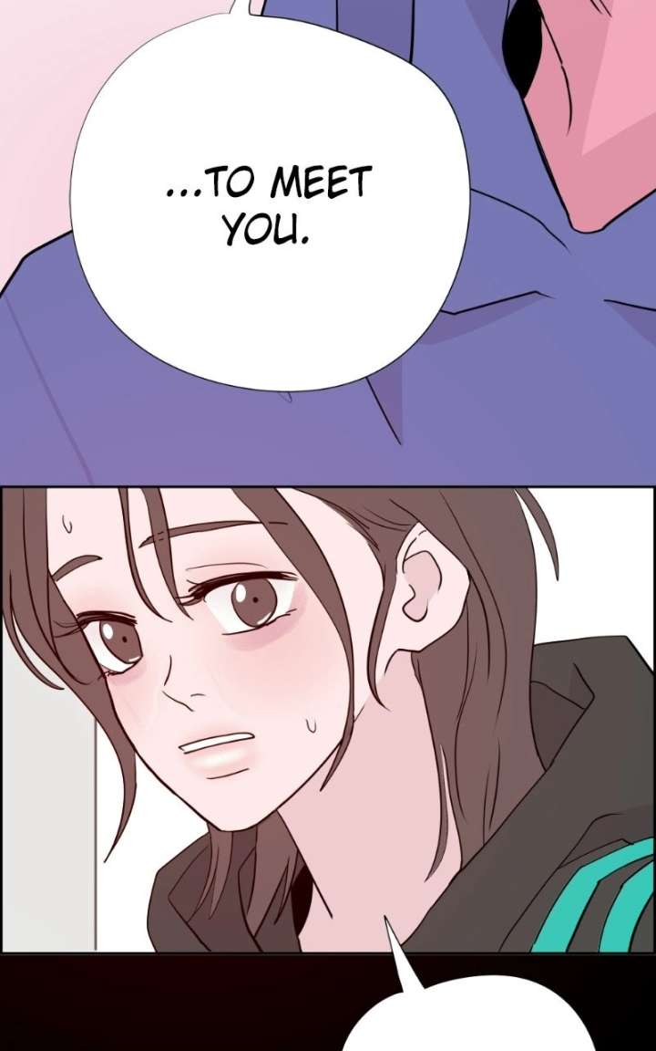 ch 48 102