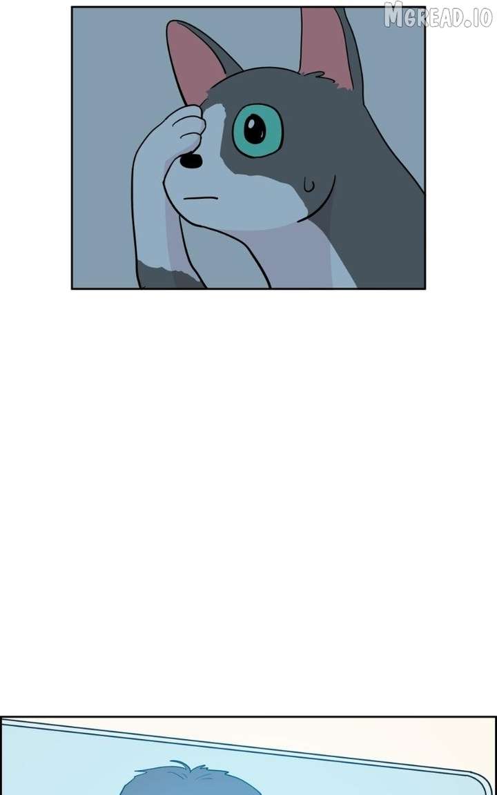 ch 50 129