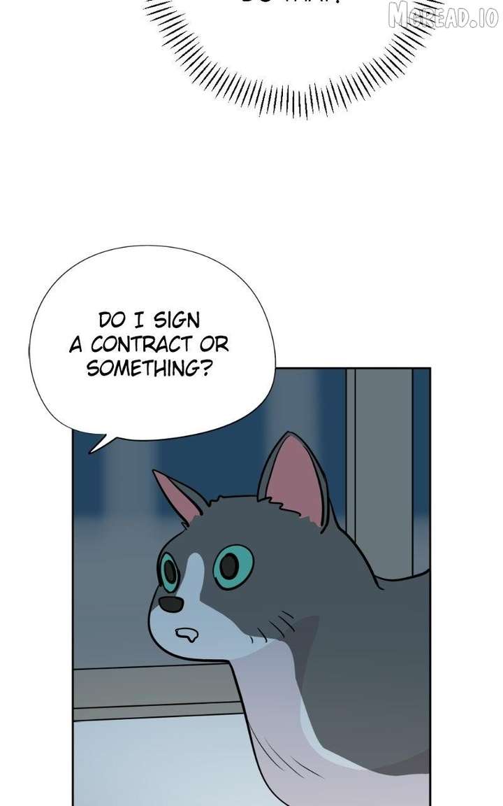 ch 50 17
