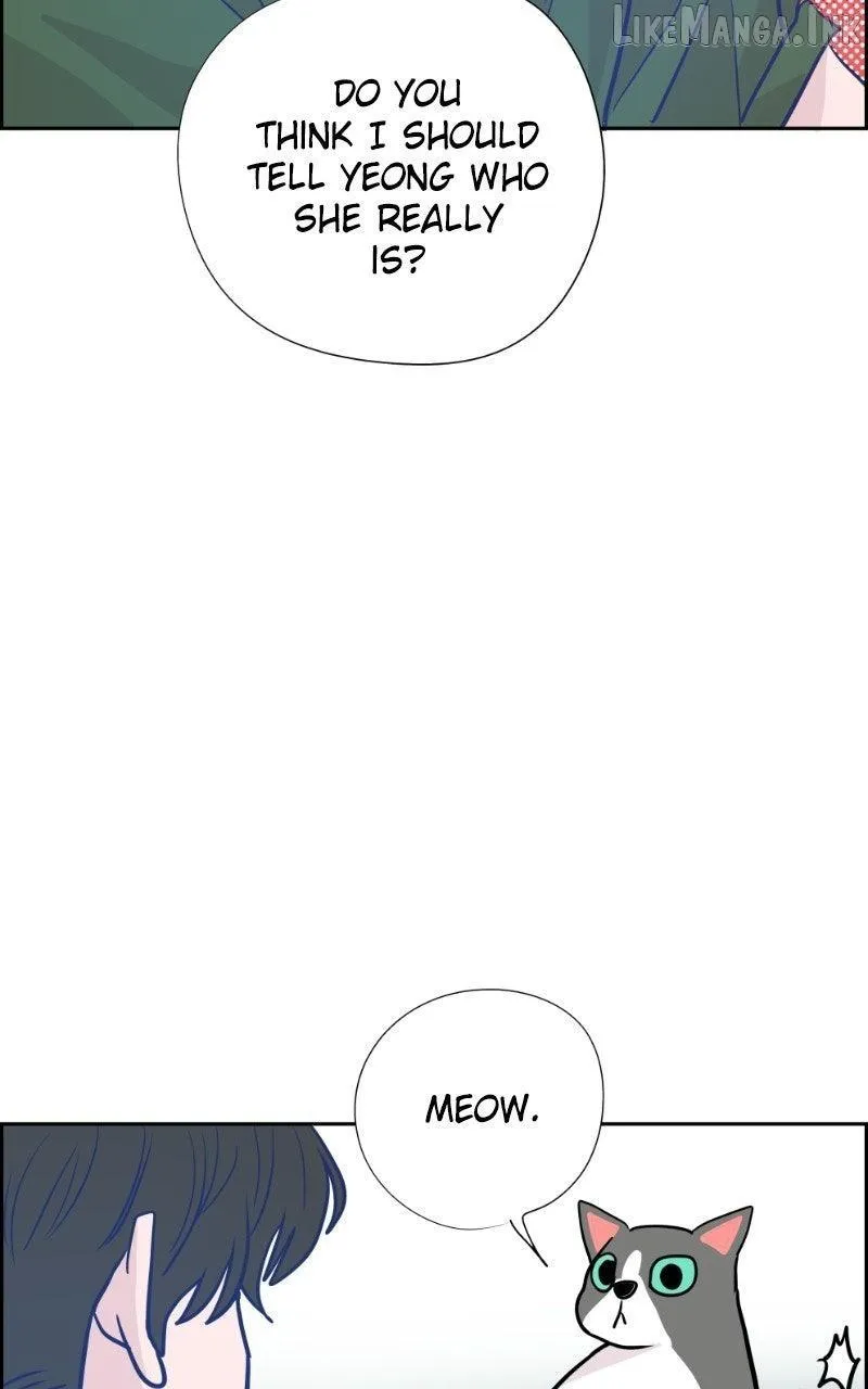 f24196a2b6ca