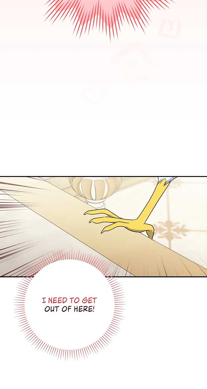 061