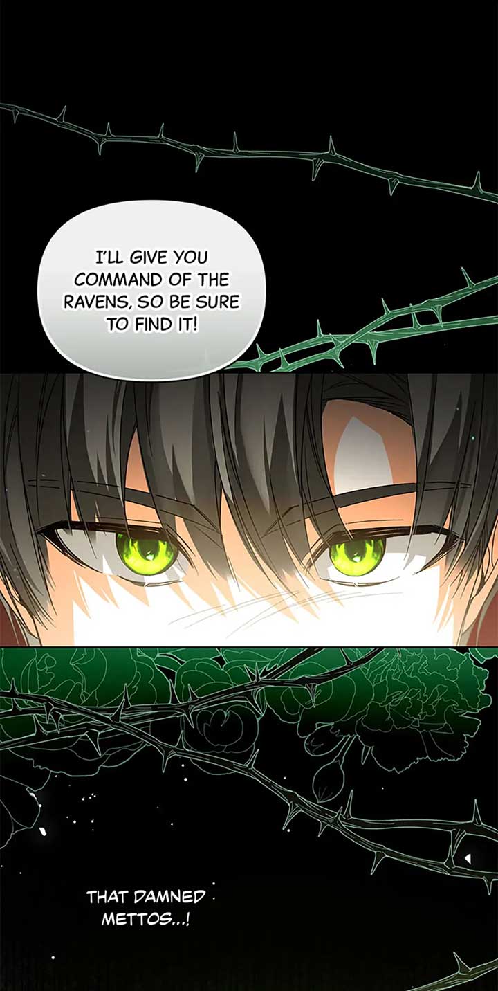 Fell Into the Arms of a Mad Villain Chapter 44 270 08