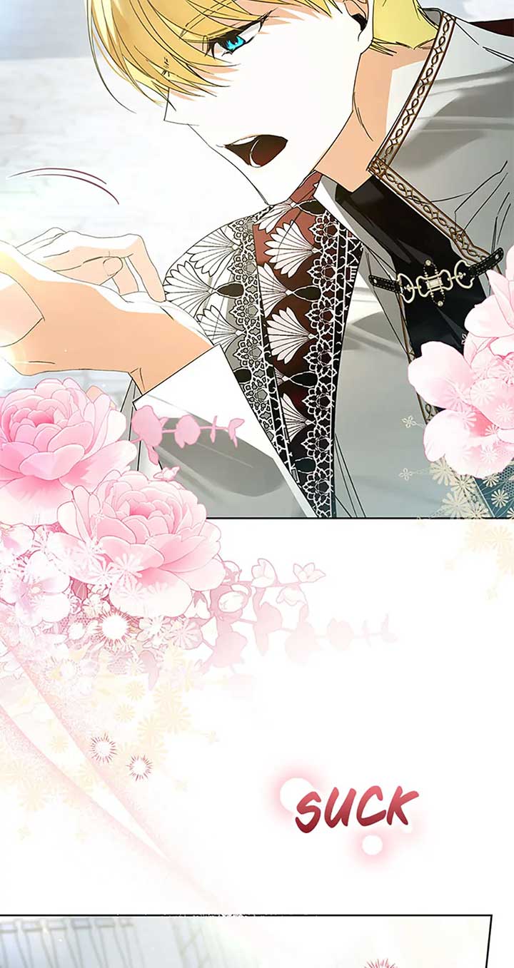 Fell Into the Arms of a Mad Villain Chapter 46 316 21