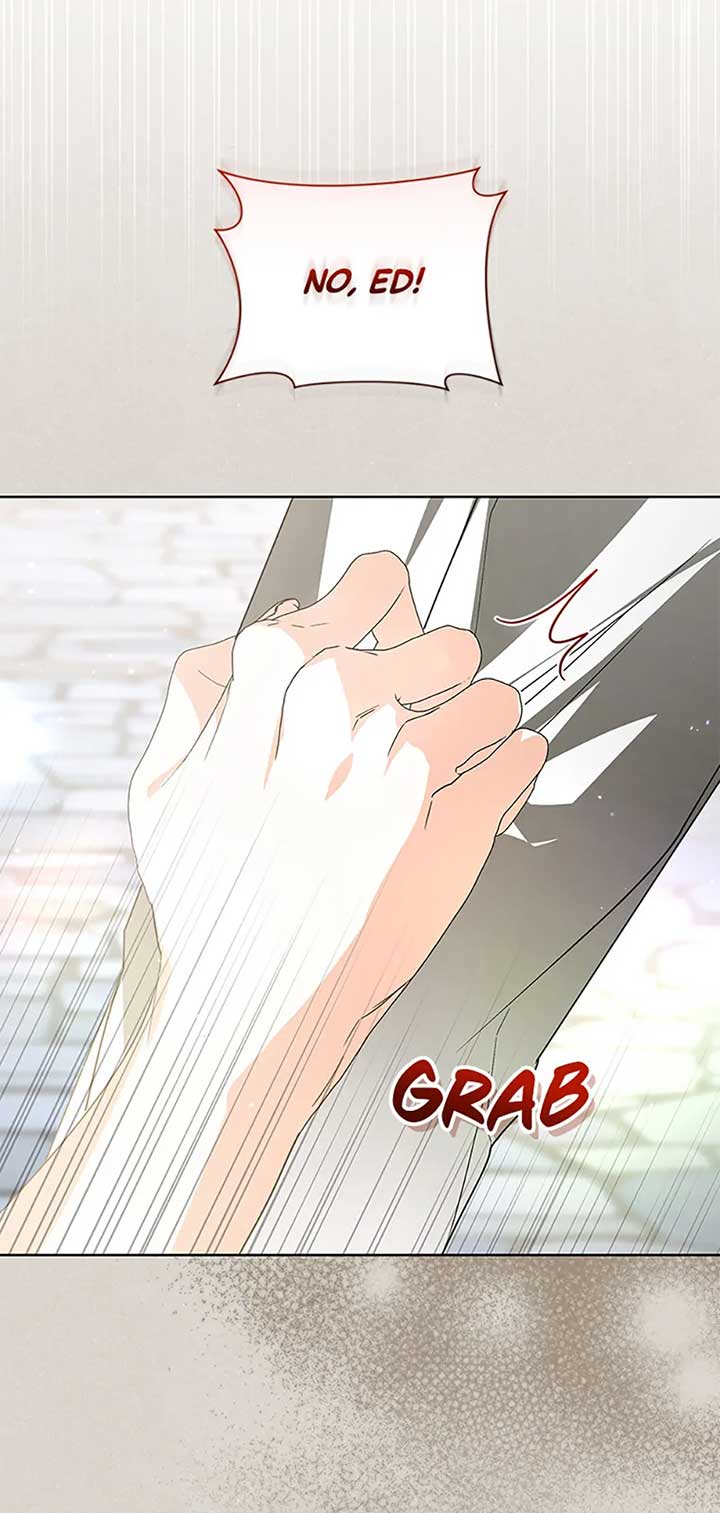 Fell Into the Arms of a Mad Villain Chapter 46 329 34