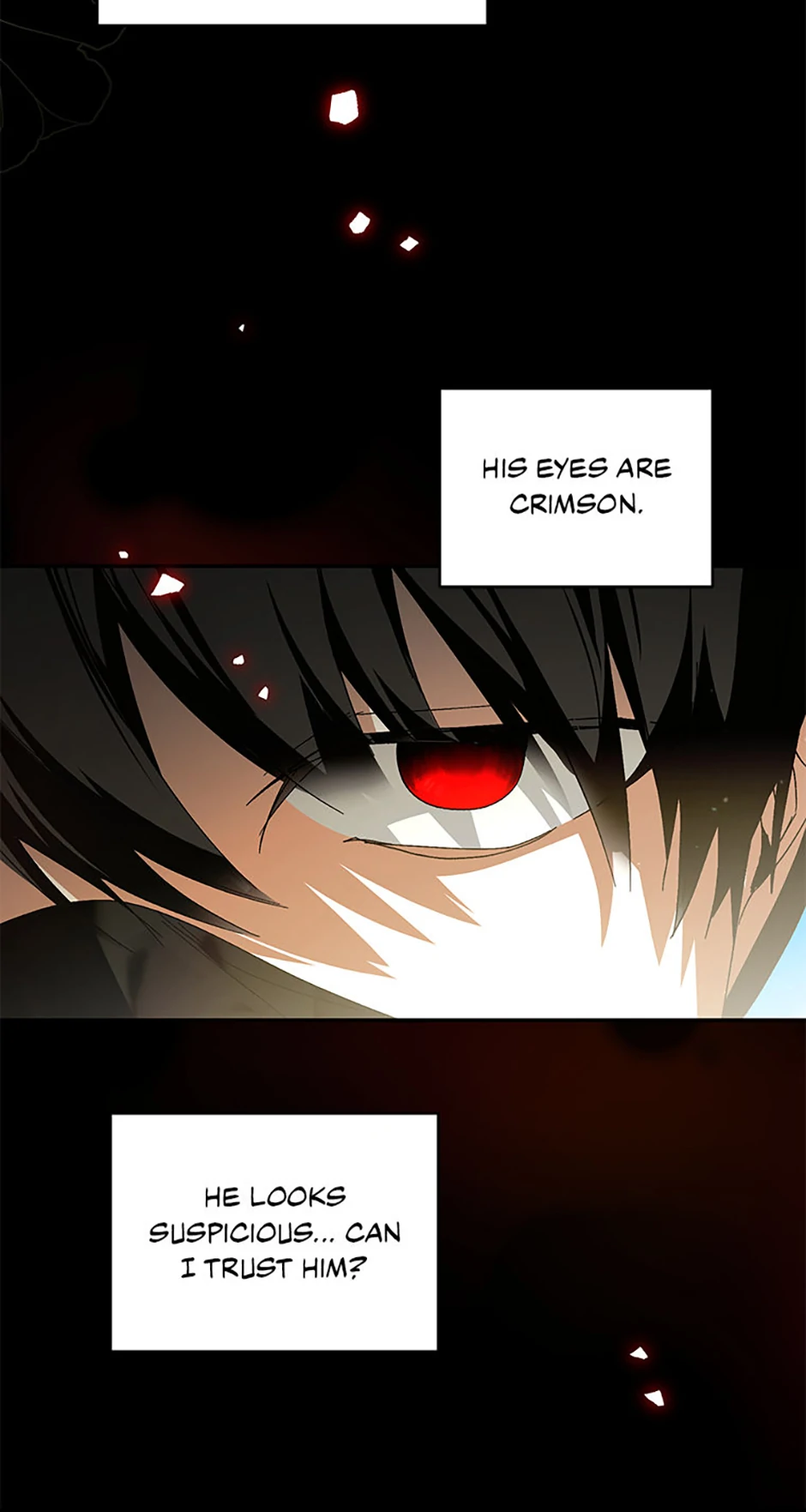 81