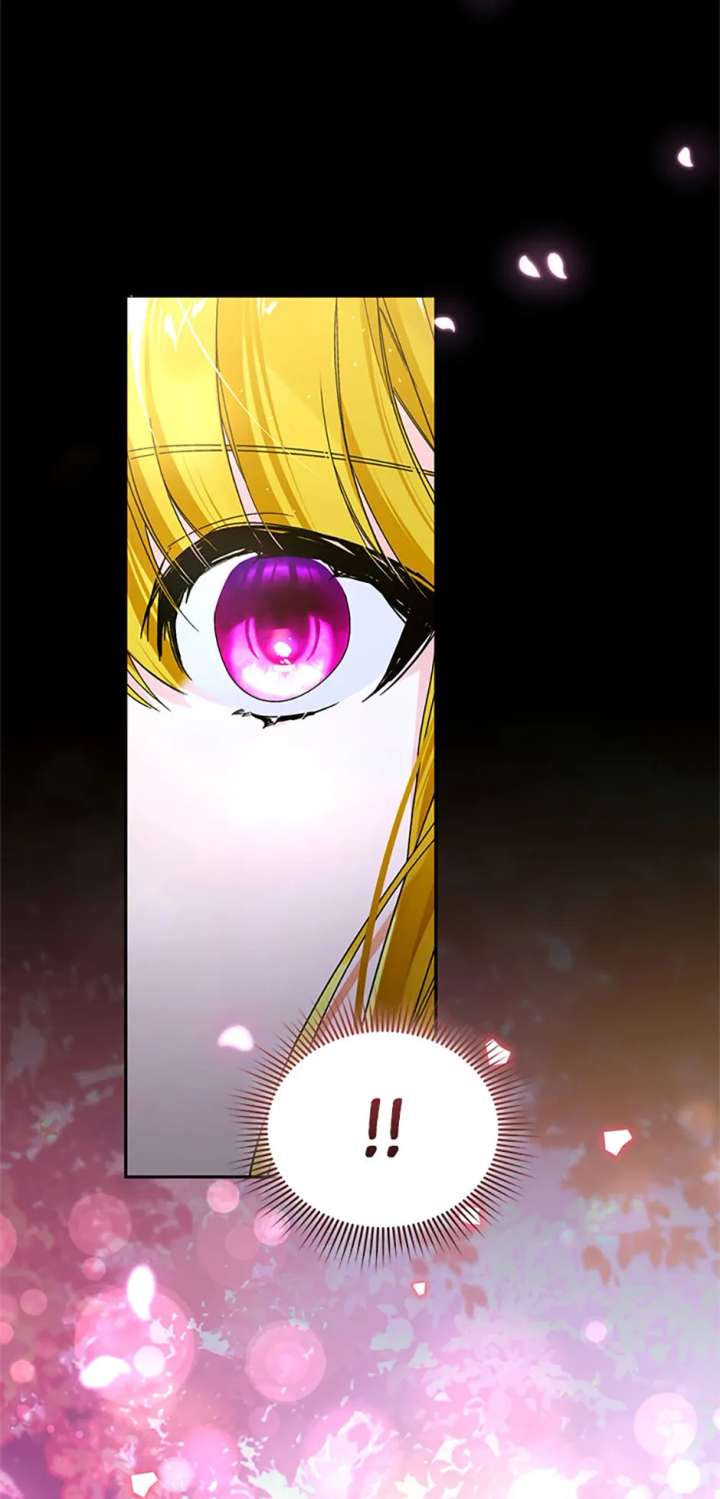 Fell Into the Arms of a Mad Villain Chapter 67 305 37