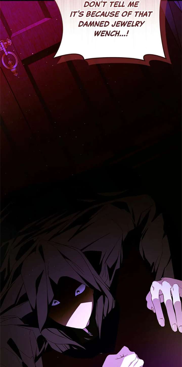 Fell Into the Arms of a Mad Villain Chapter 70 347 67
