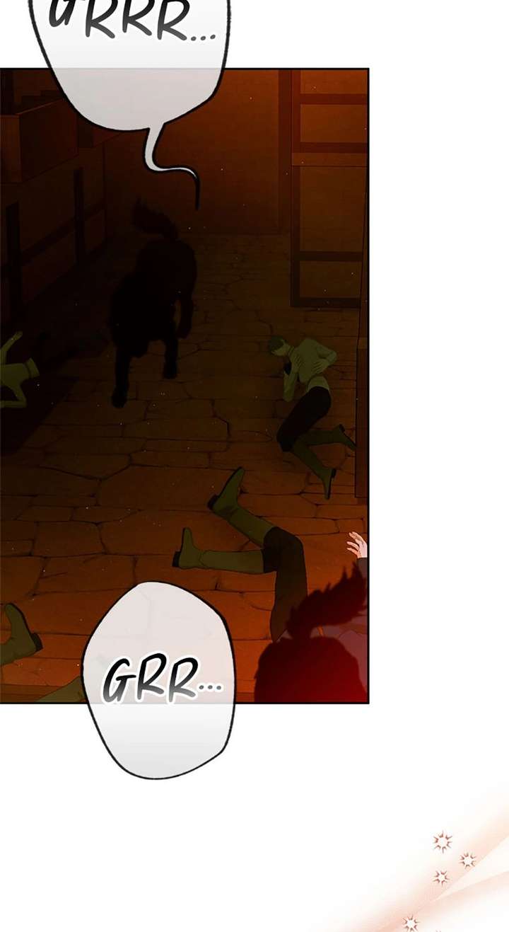 ch 81 19