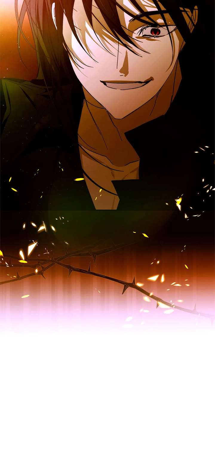 ch 81 2