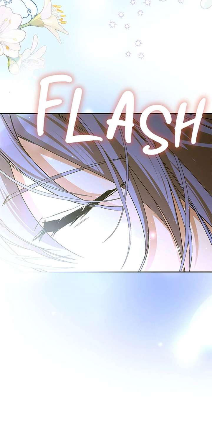 ch 81 31