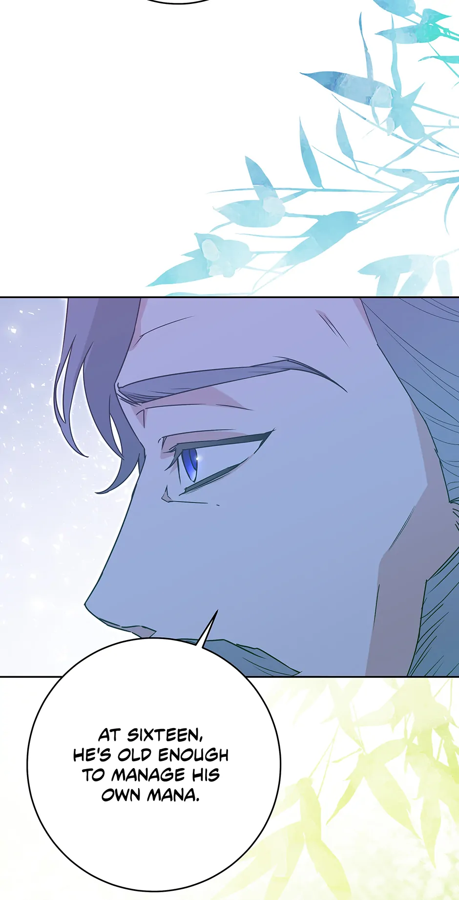 How to Save a Time-Limited Young Master Chapter 29 331 72