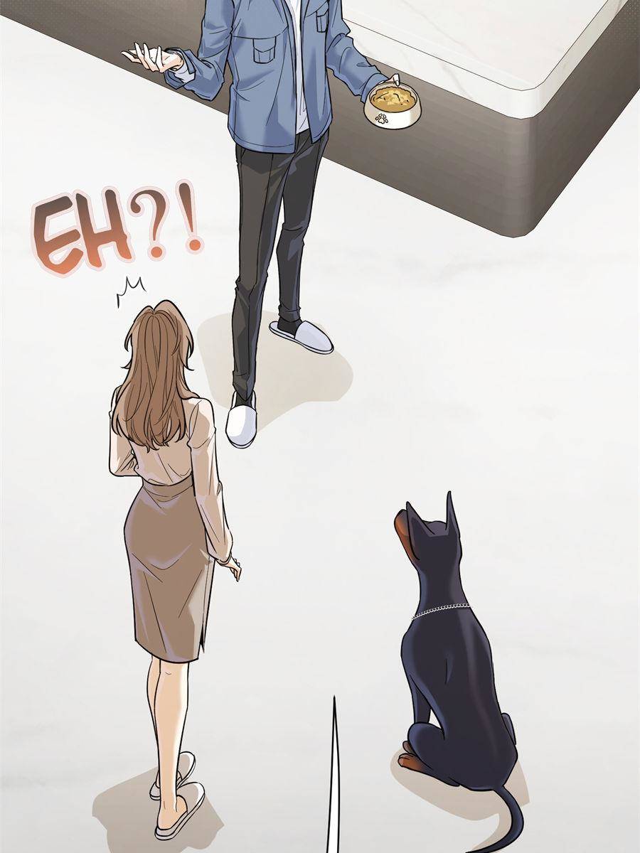 41