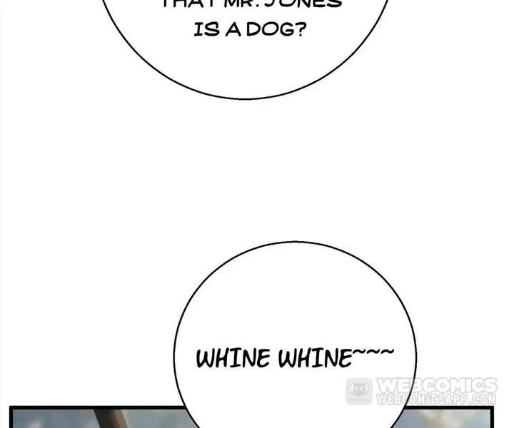 ch 50 43