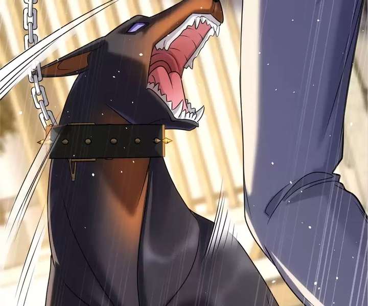 ch 55 17