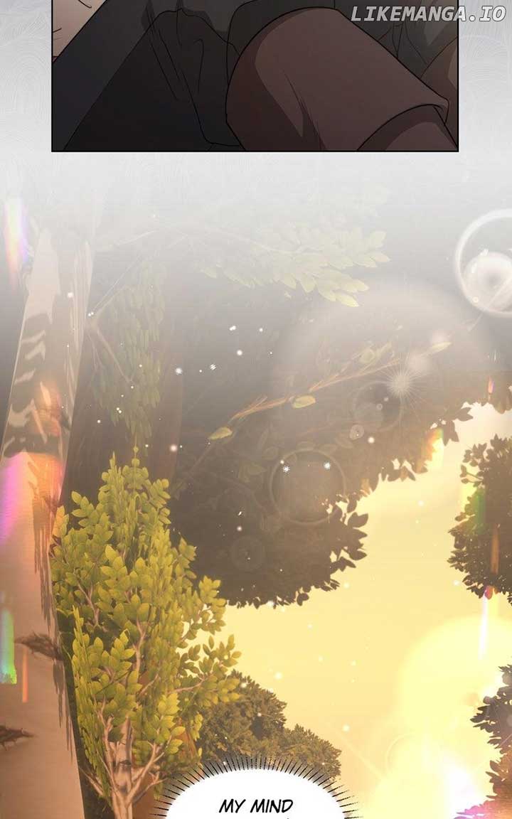 81