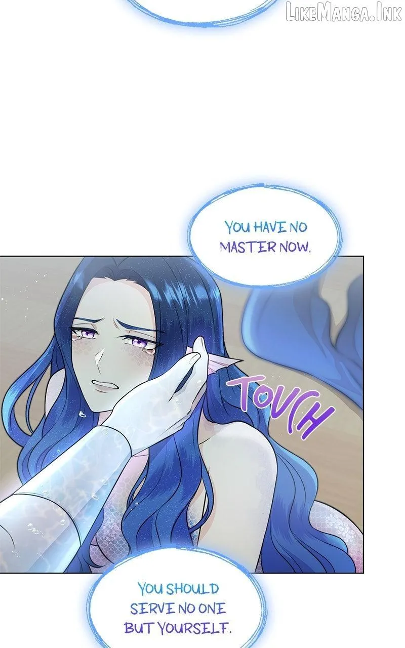 7af2d15eb874