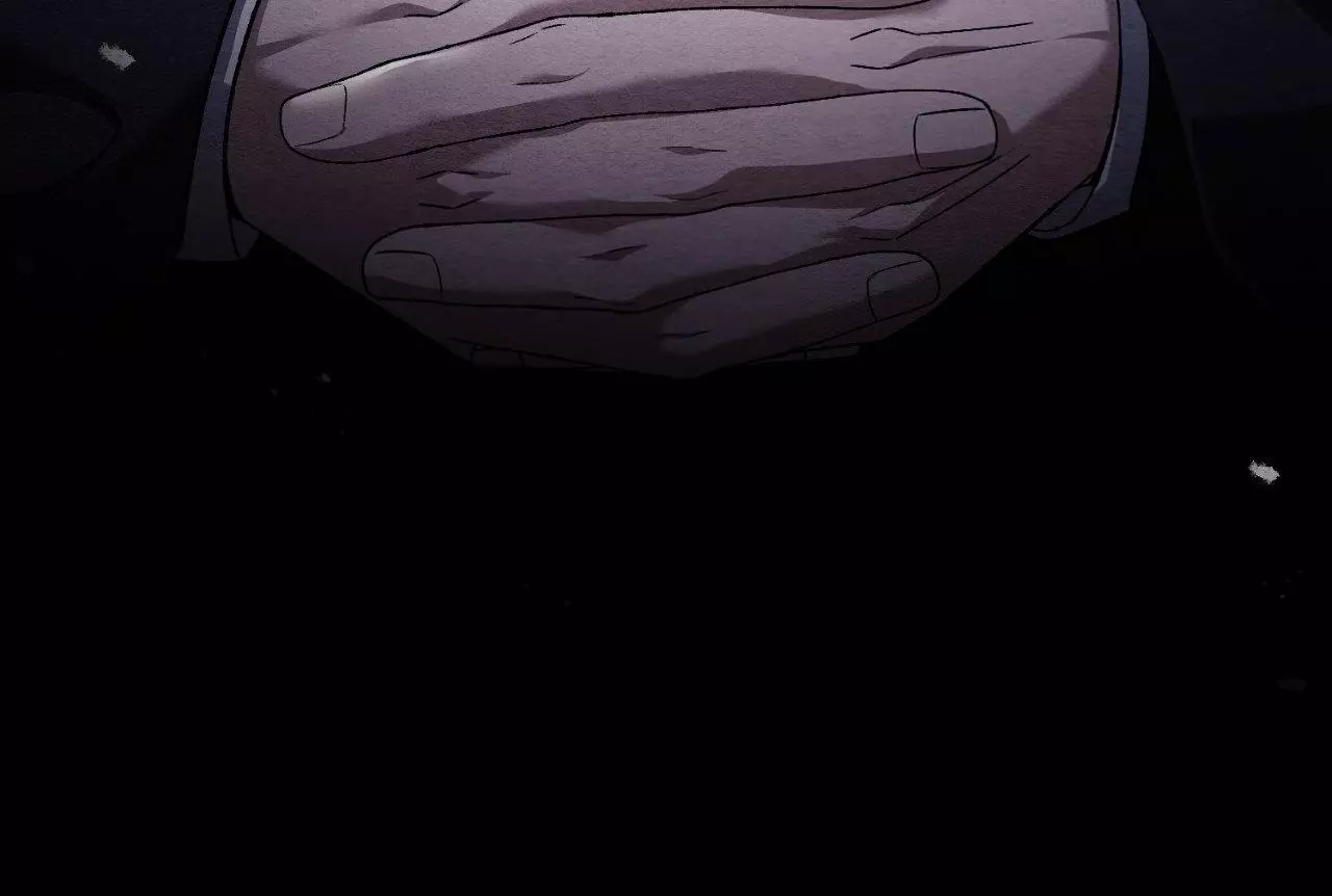 81