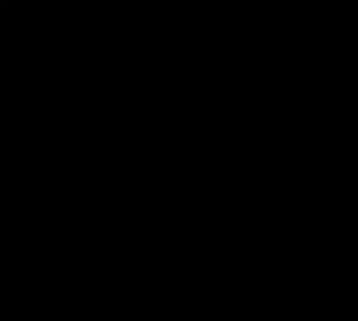 81