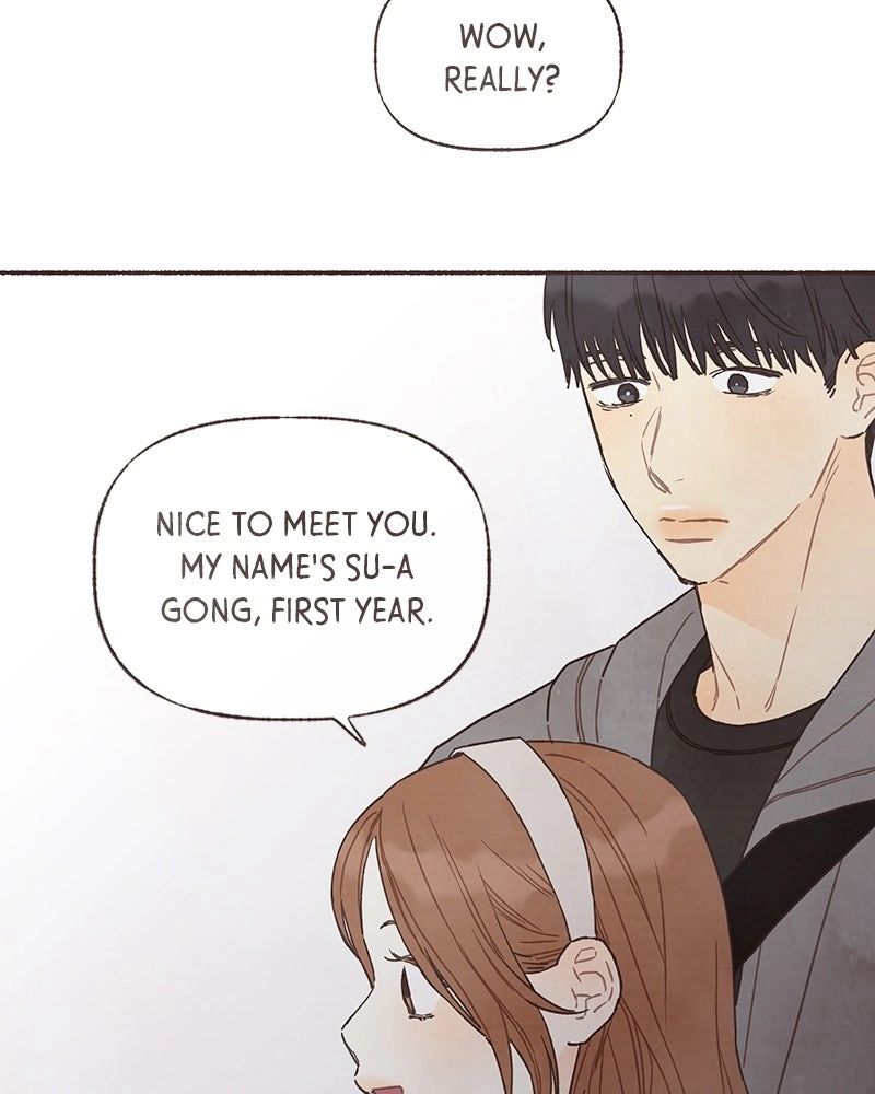 ch 63 41