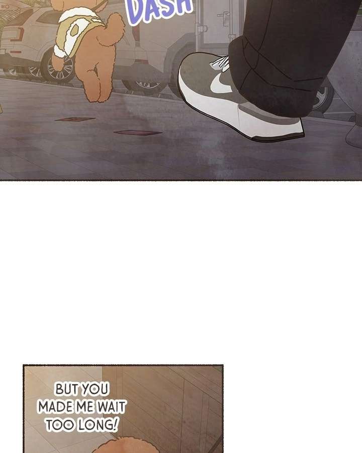ch 65 41
