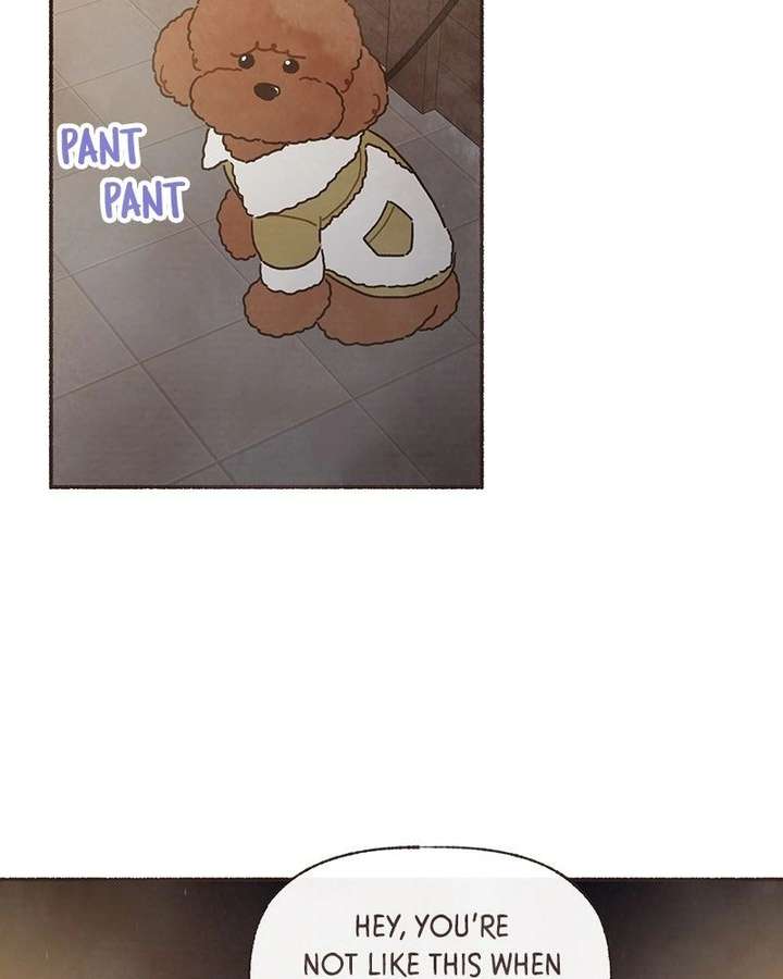 ch 65 42