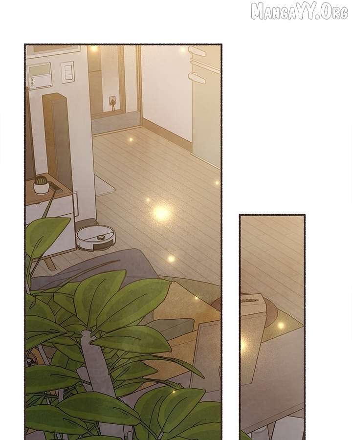 ch 66 74