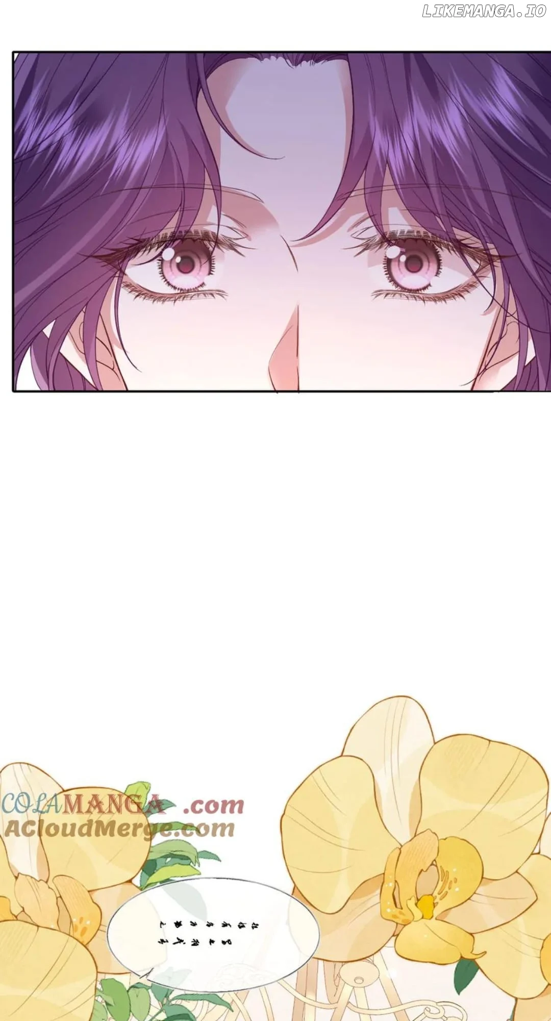 Confessing My Love to Him, the Treacherous One Chapter 41 251 16