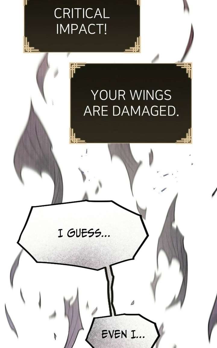 ch 55 42