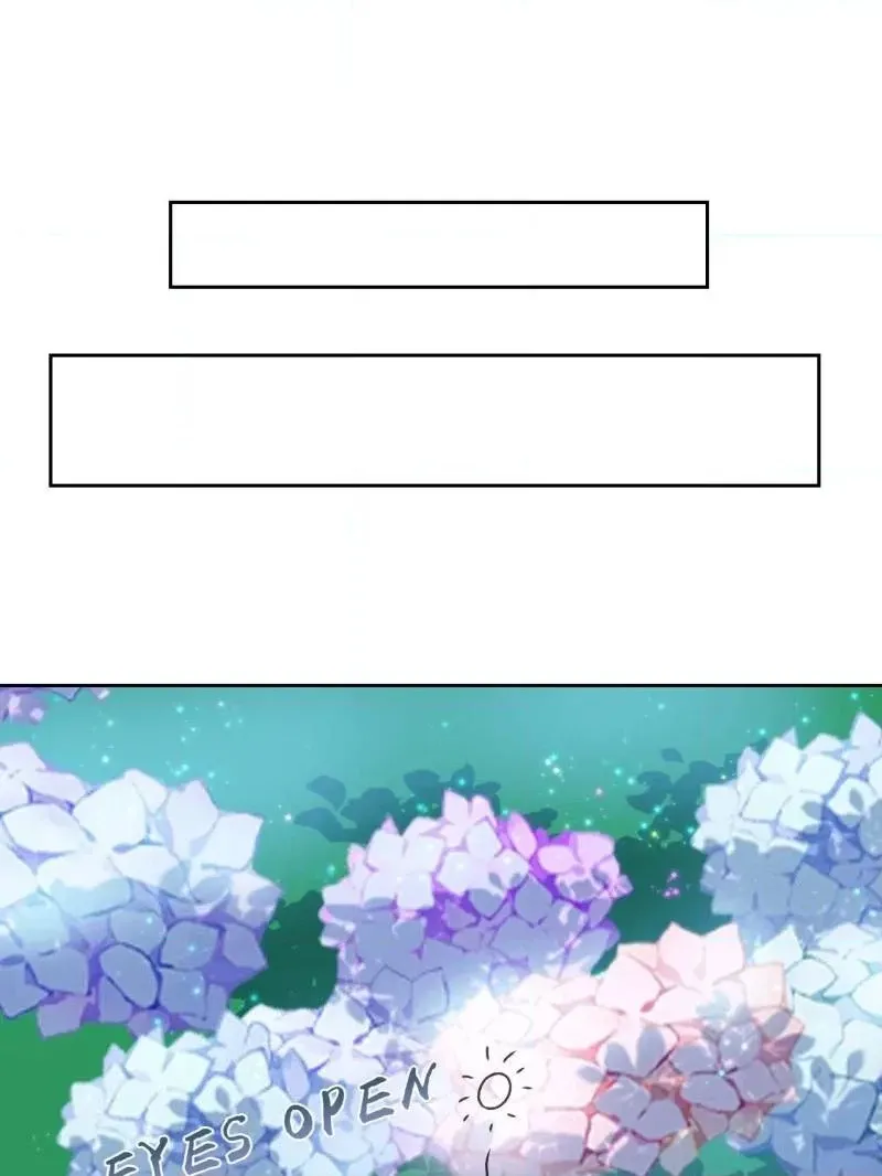 6fac6269a4c3