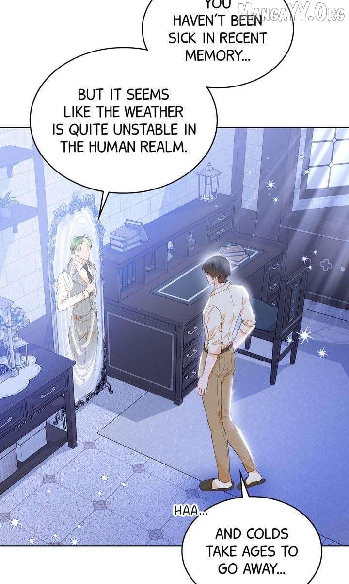48