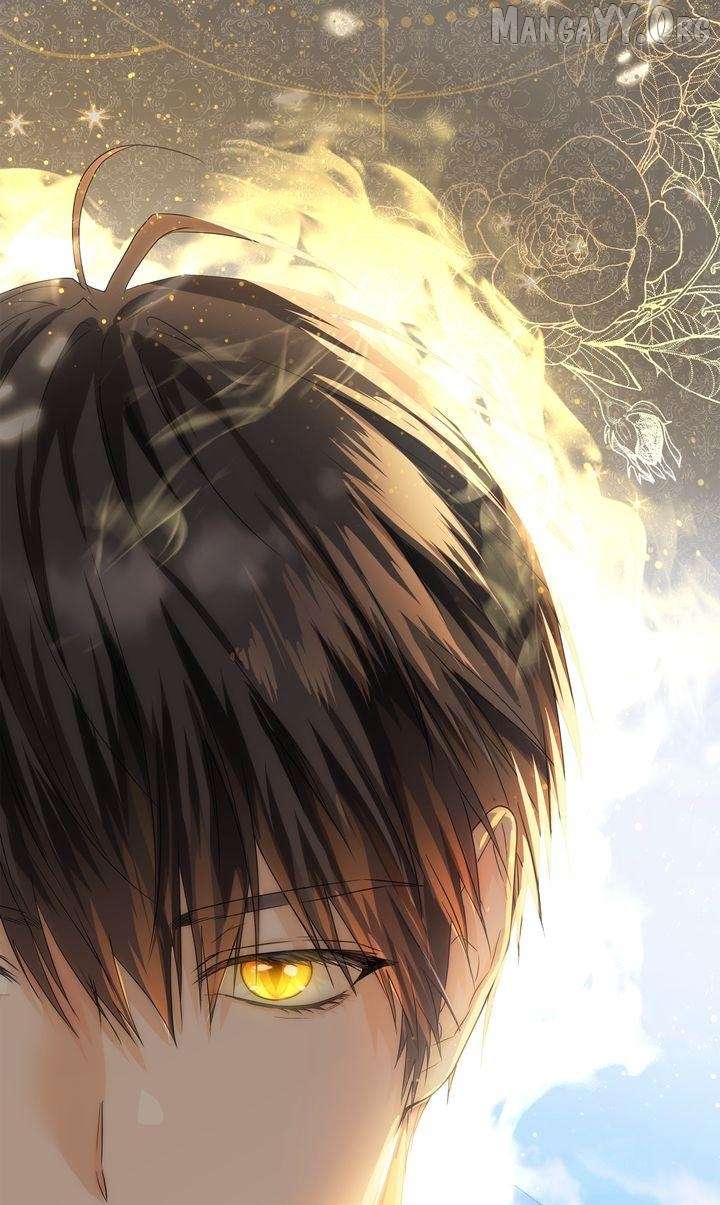 ch 45 48