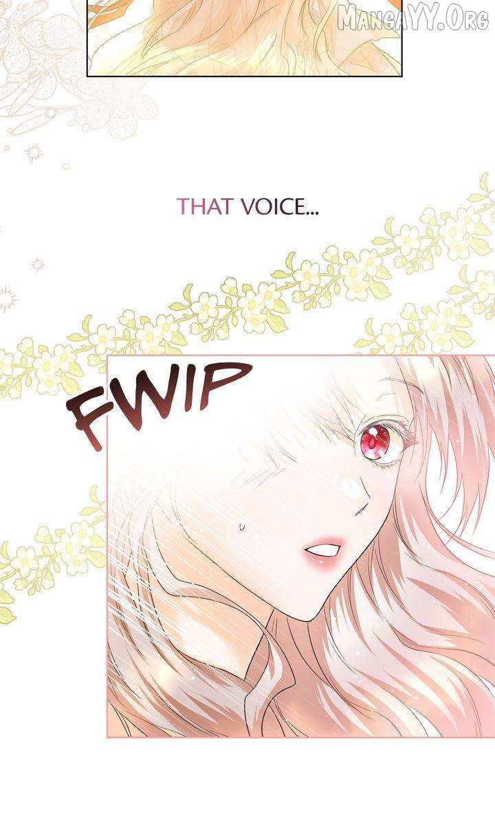 ch 50 40