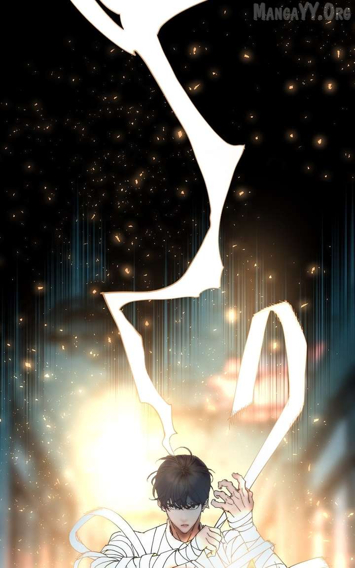 ch 41 11
